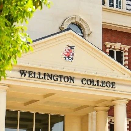 2025 IGCSE Results Announcement – Our Pupils Excel Once Again