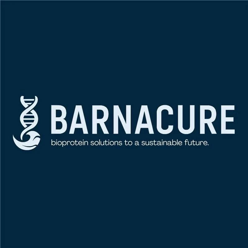 What is iGEM and our project, Barnacure?
